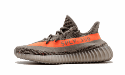 BELUGA