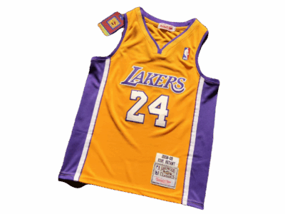 NBA BASKETBALL VEST – LAKERS